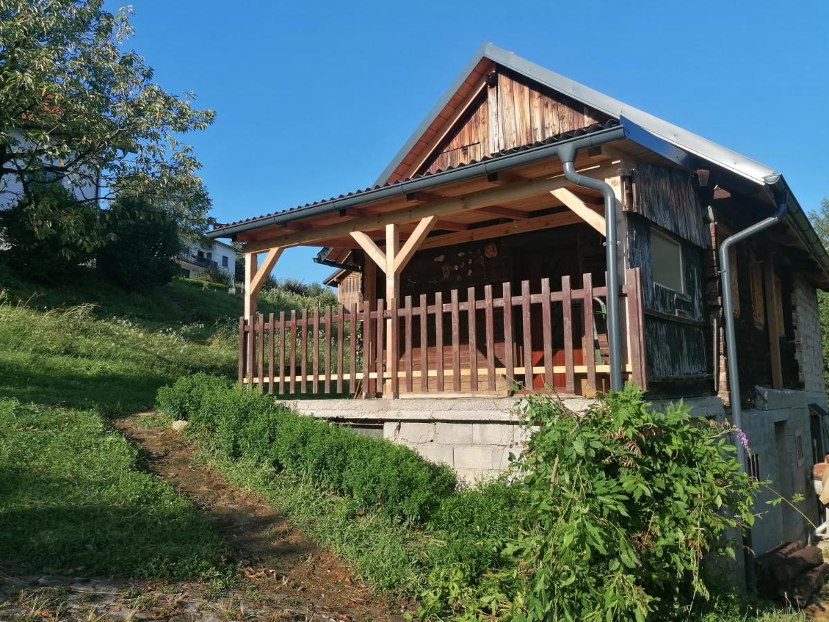 Hiska Ob Gozdu Villa Polzela ภายนอก รูปภาพ