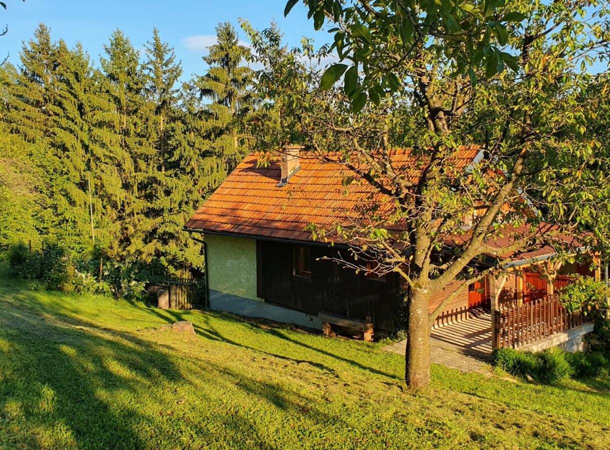 Hiska Ob Gozdu Villa Polzela ภายนอก รูปภาพ
